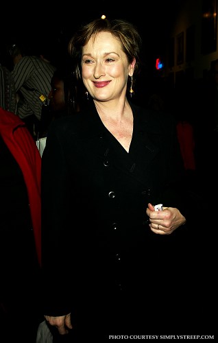 bridgeandtunnelopening013.jpg