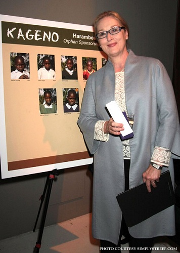 kagenoharambeegala005.jpg