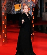 Filename=bafta2009ca002.jpg
Filesize=54KiB
Dimensions=321x500
Date added=Jun 07, 2009 bafta2009ca002.jpg