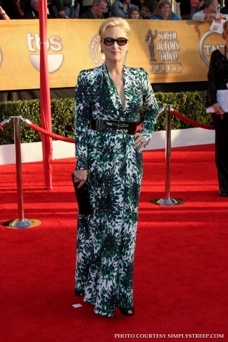 sagawards2010ca055.jpg