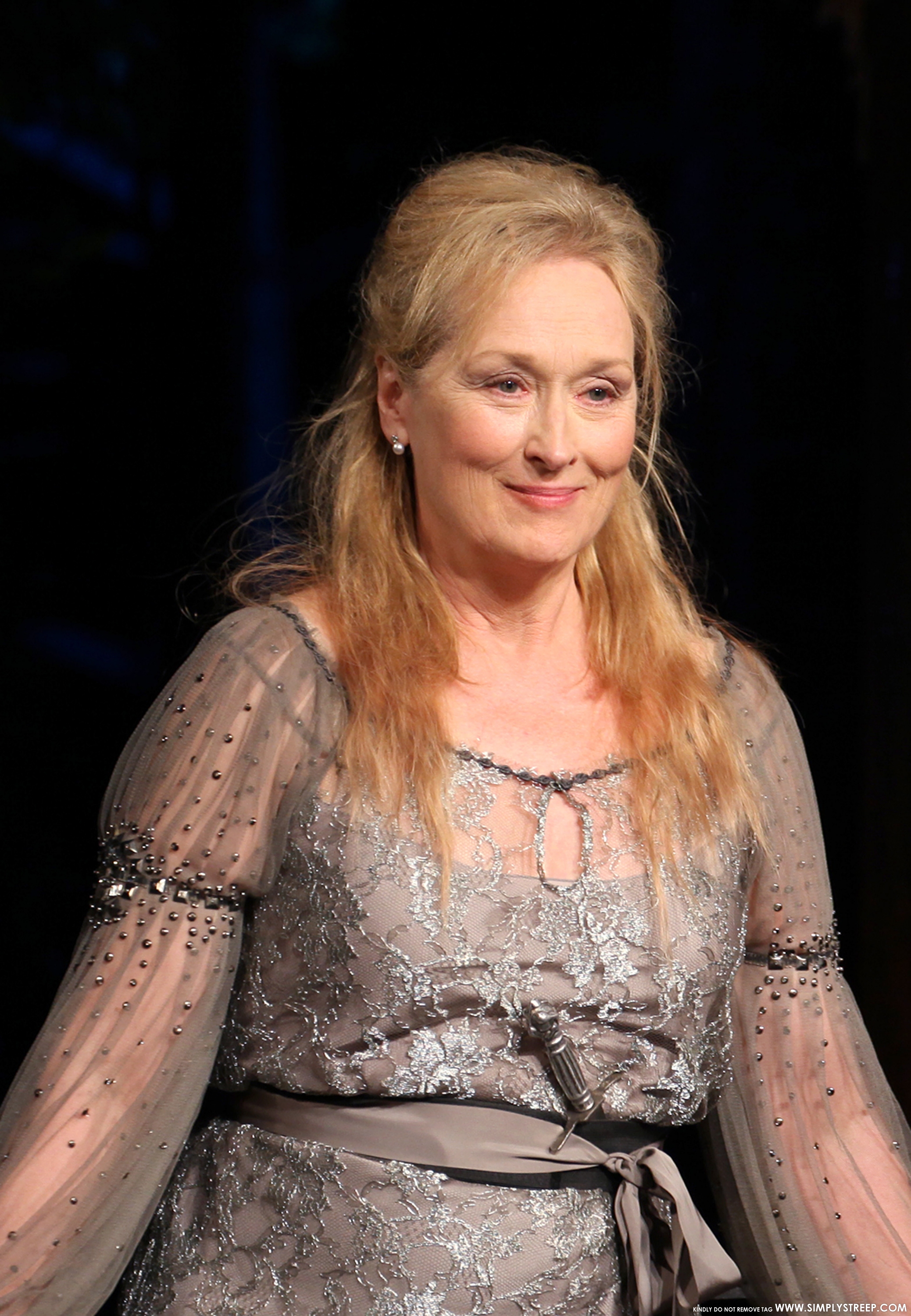 publictheatergala02011.jpg