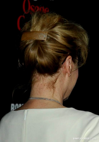 aocpremla046010.jpg