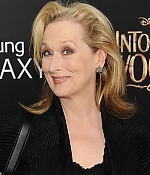 Filename=itwpremny334010.jpg
Filesize=151KiB
Dimensions=463x594
Date added=Dec 09, 2014 itwpremny334010.jpg