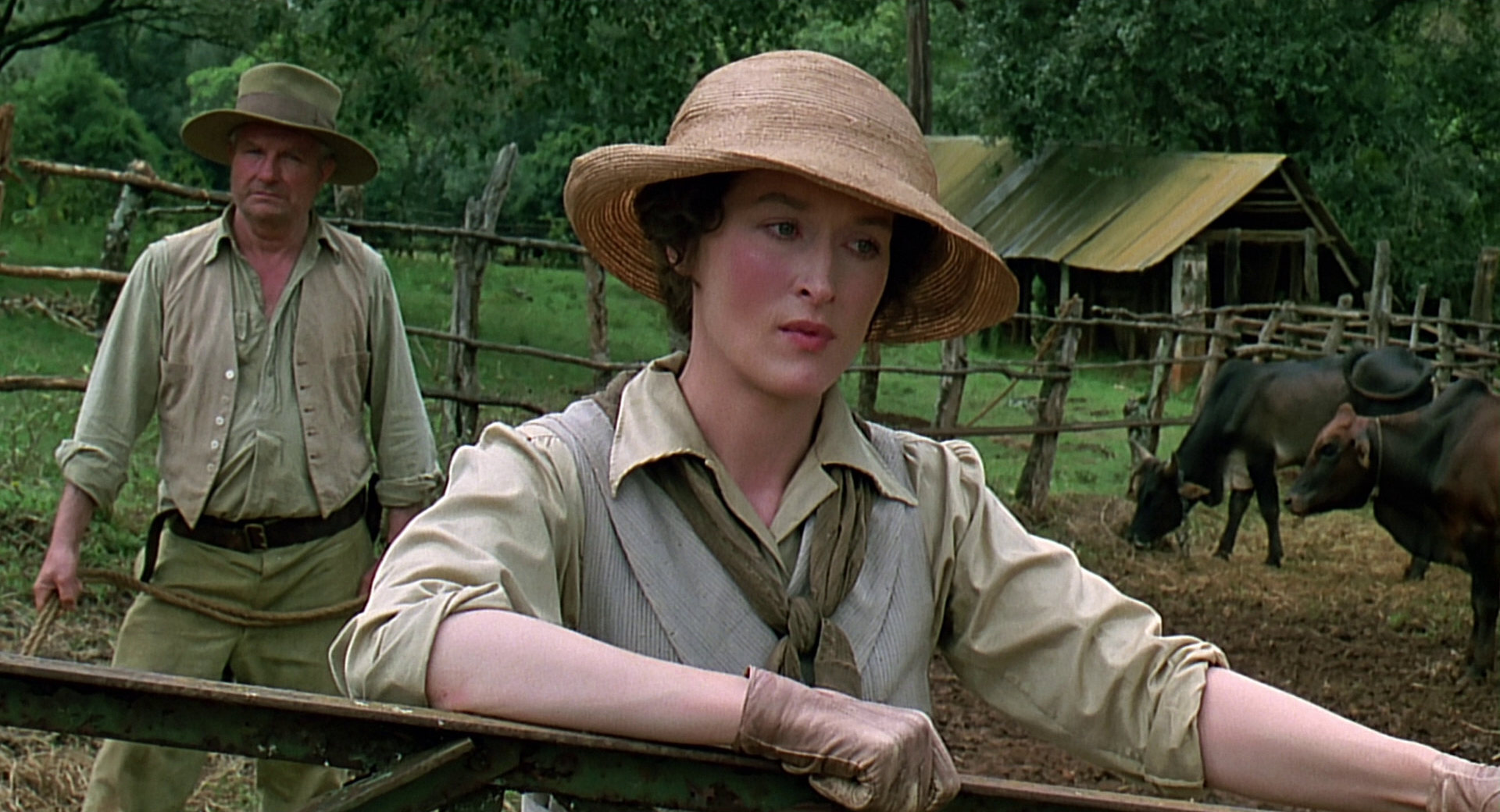 cap0505.jpg