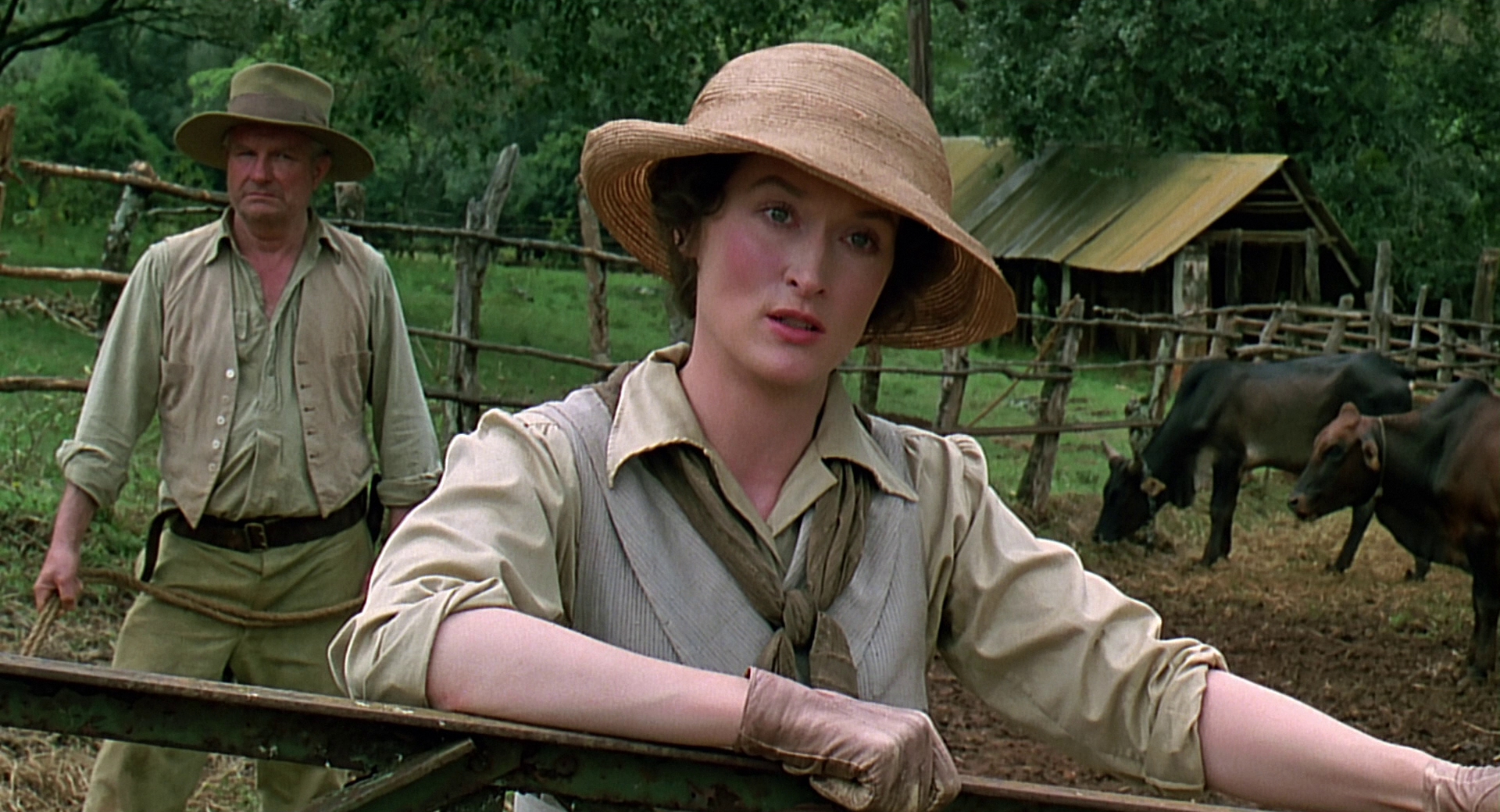 cap0506.jpg
