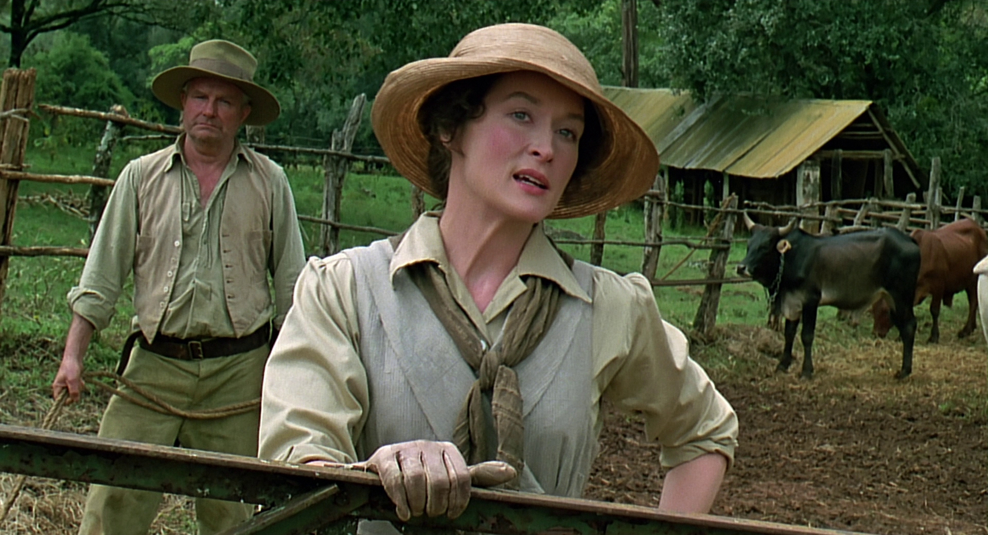 cap0510.jpg