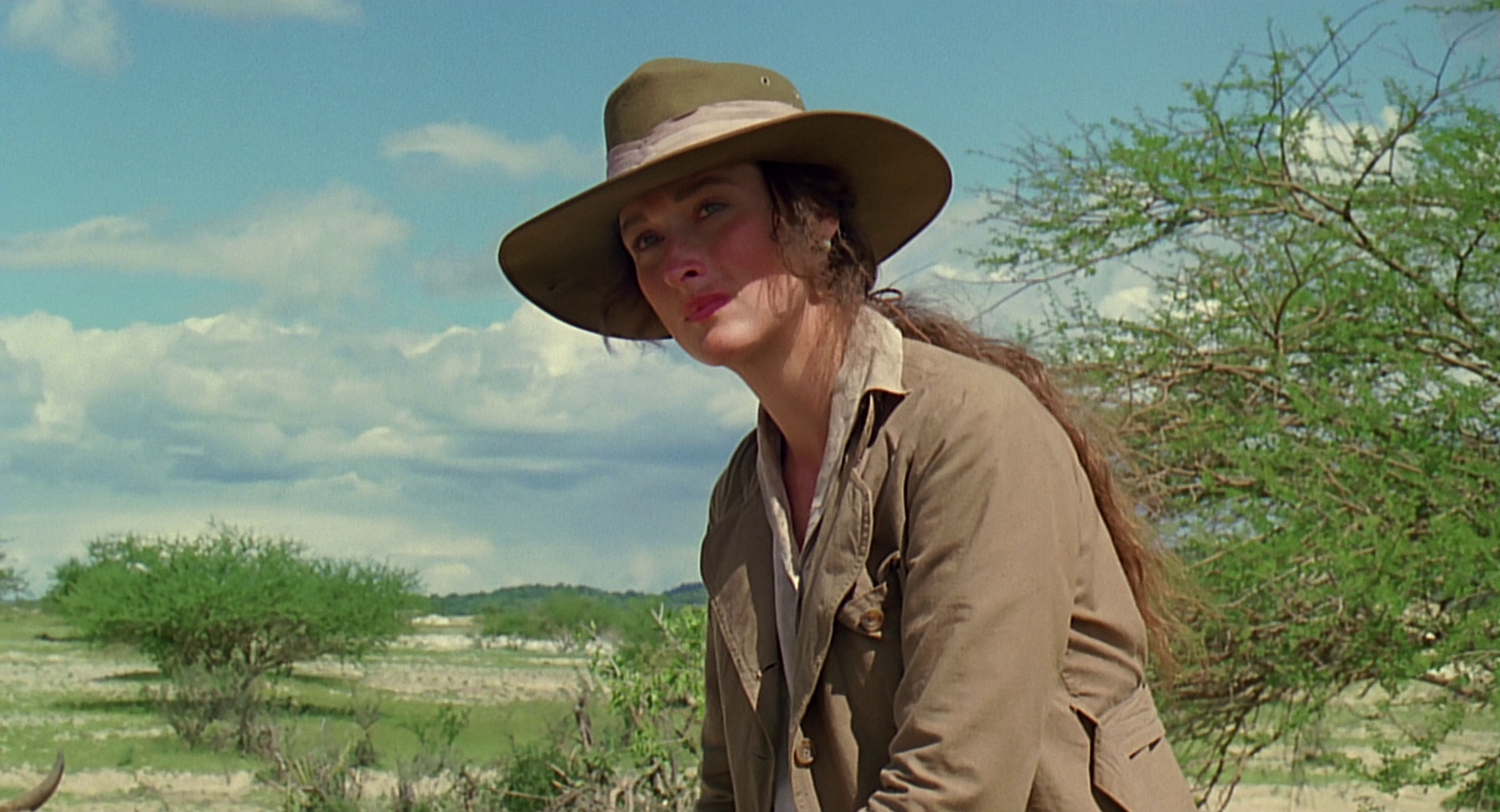 cap0539.jpg
