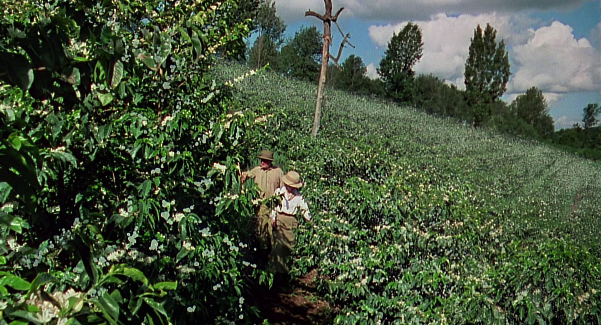 cap0713.jpg