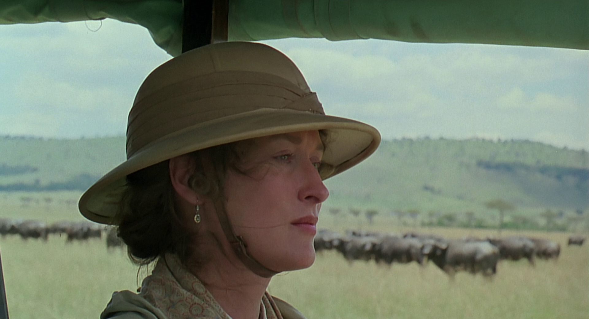 cap0804.jpg