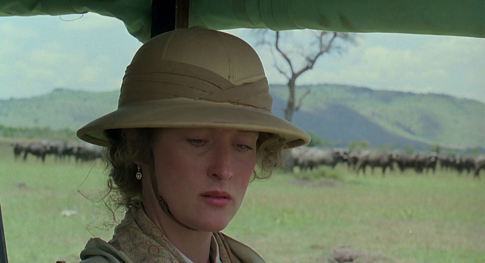 cap0806.jpg