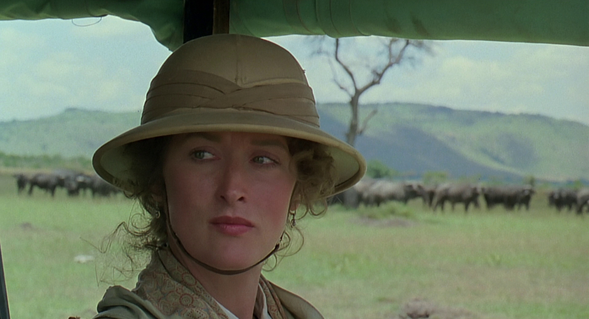 cap0810.jpg