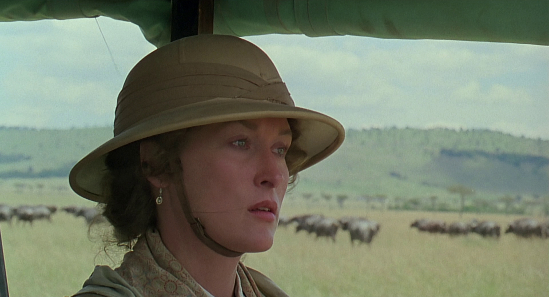 cap0812.jpg