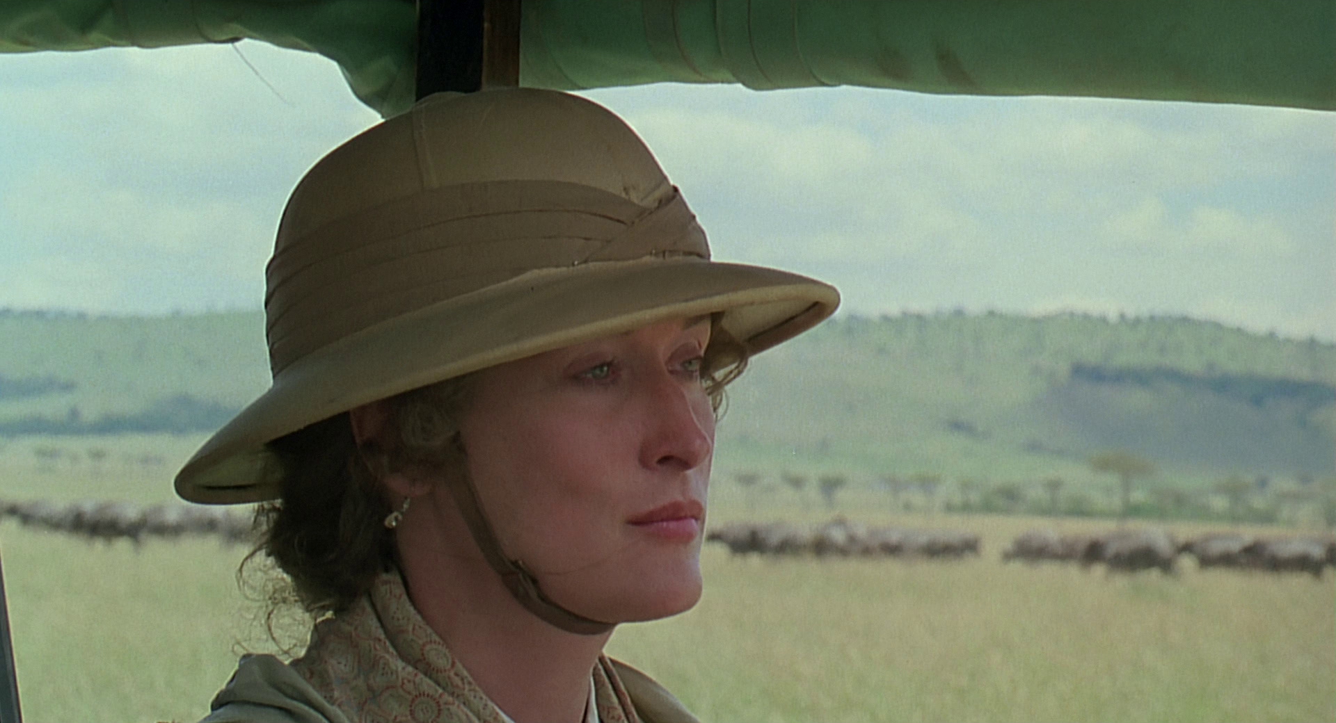 cap0816.jpg