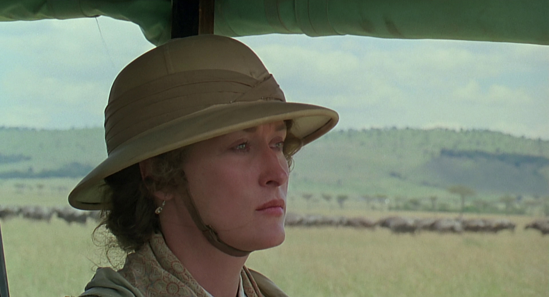 cap0817.jpg