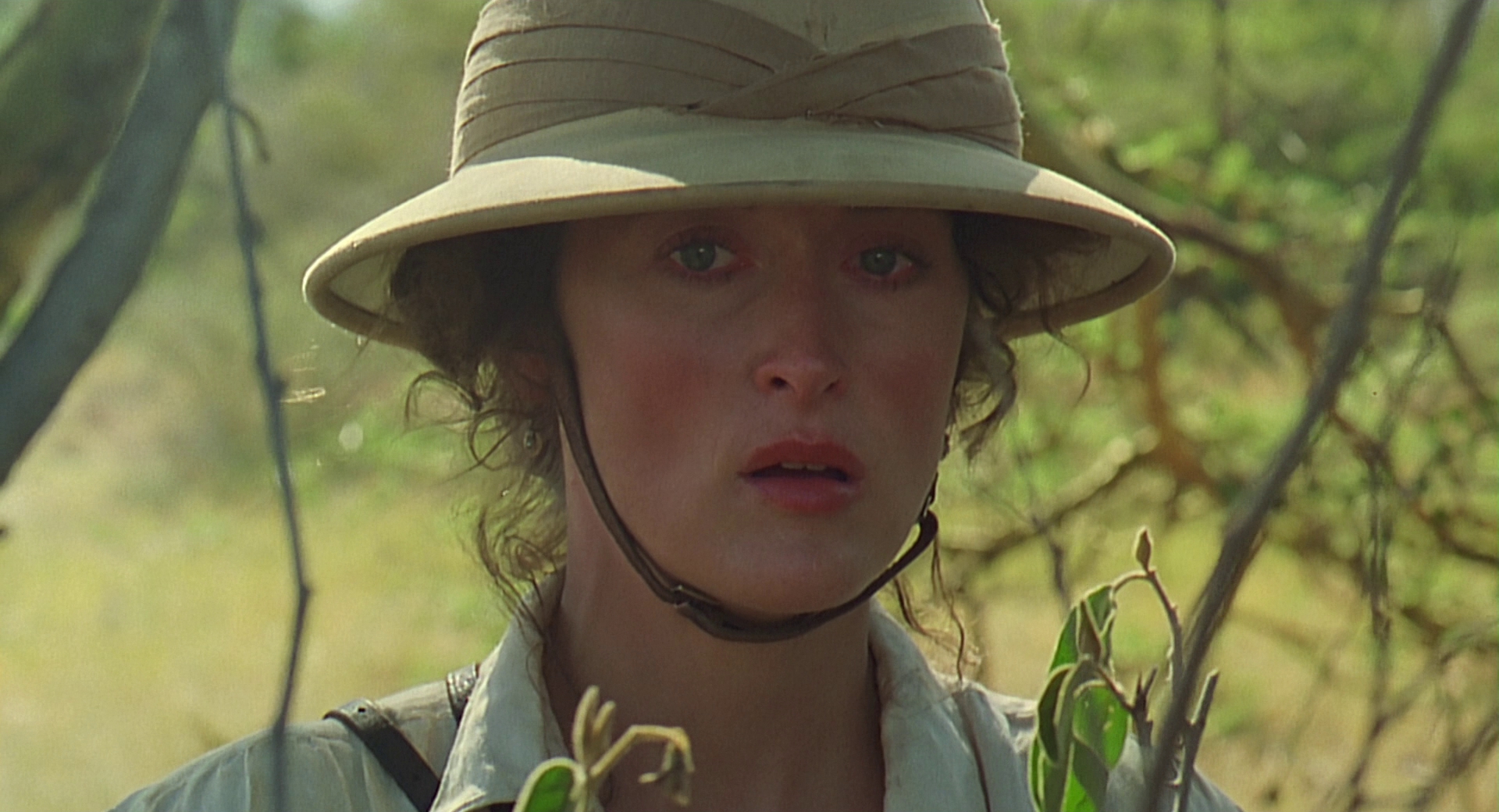 cap0935.jpg