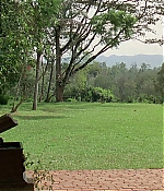cap0784.jpg