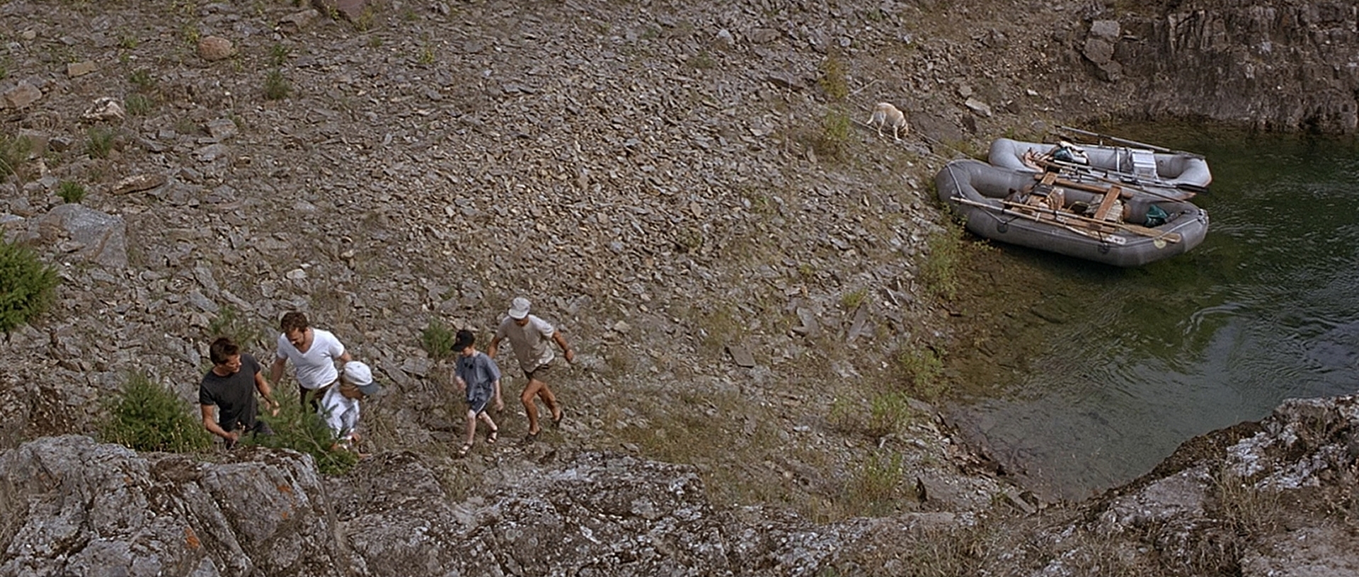 cap0339.jpg
