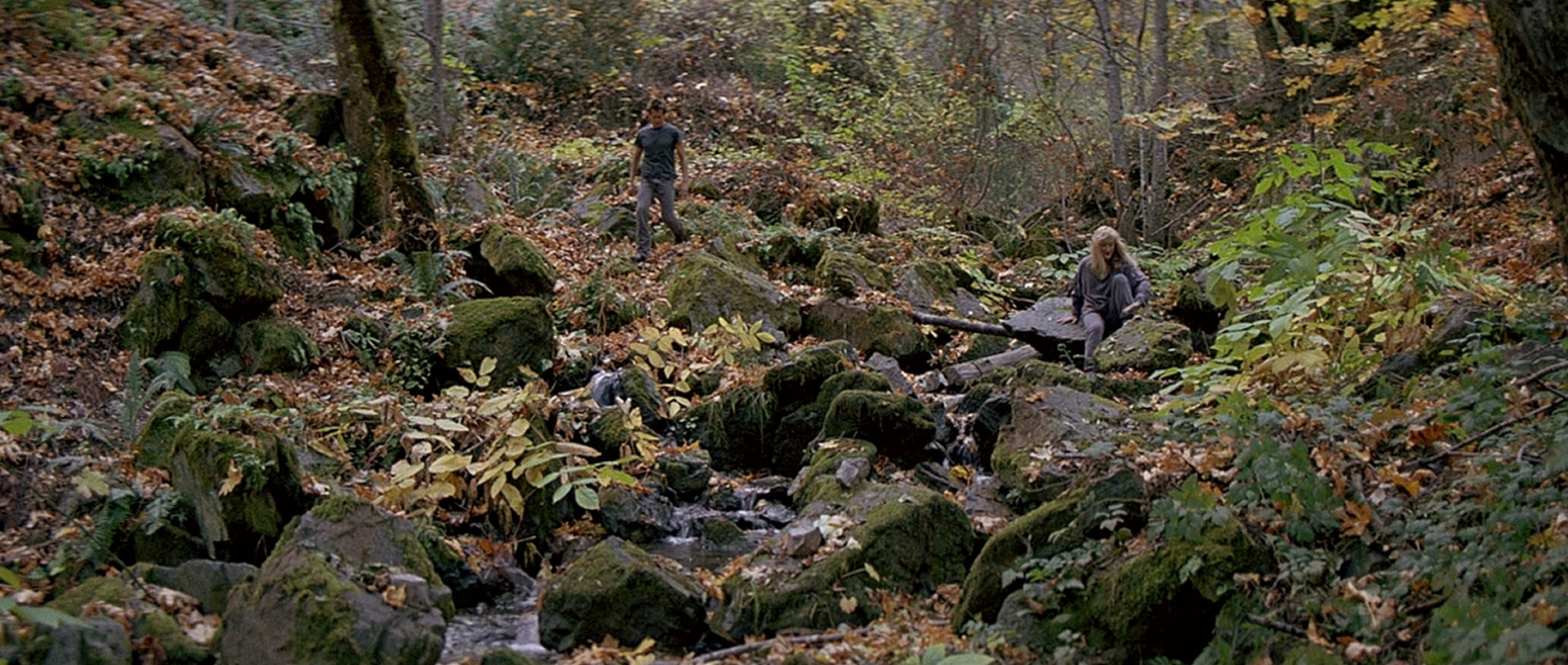 cap0479.jpg
