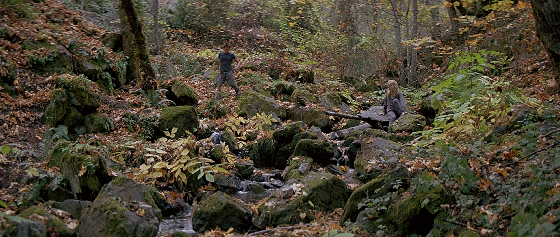 cap0480.jpg