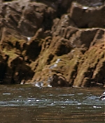 Filename=cap0325.jpg
Filesize=926KiB
Dimensions=1920x815
Date added=Jul 29, 2012 cap0325.jpg