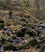 cap0480.jpg