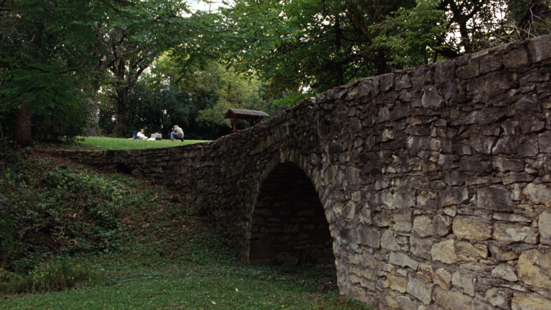 cap0808.jpg