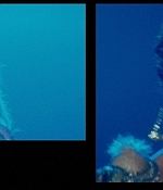 Filename=cap1568.jpg
Filesize=738KiB
Dimensions=1920x798
Date added=Oct 14, 2012 cap1568.jpg