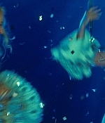 Filename=cap1609.jpg
Filesize=893KiB
Dimensions=1920x798
Date added=Oct 14, 2012 cap1609.jpg