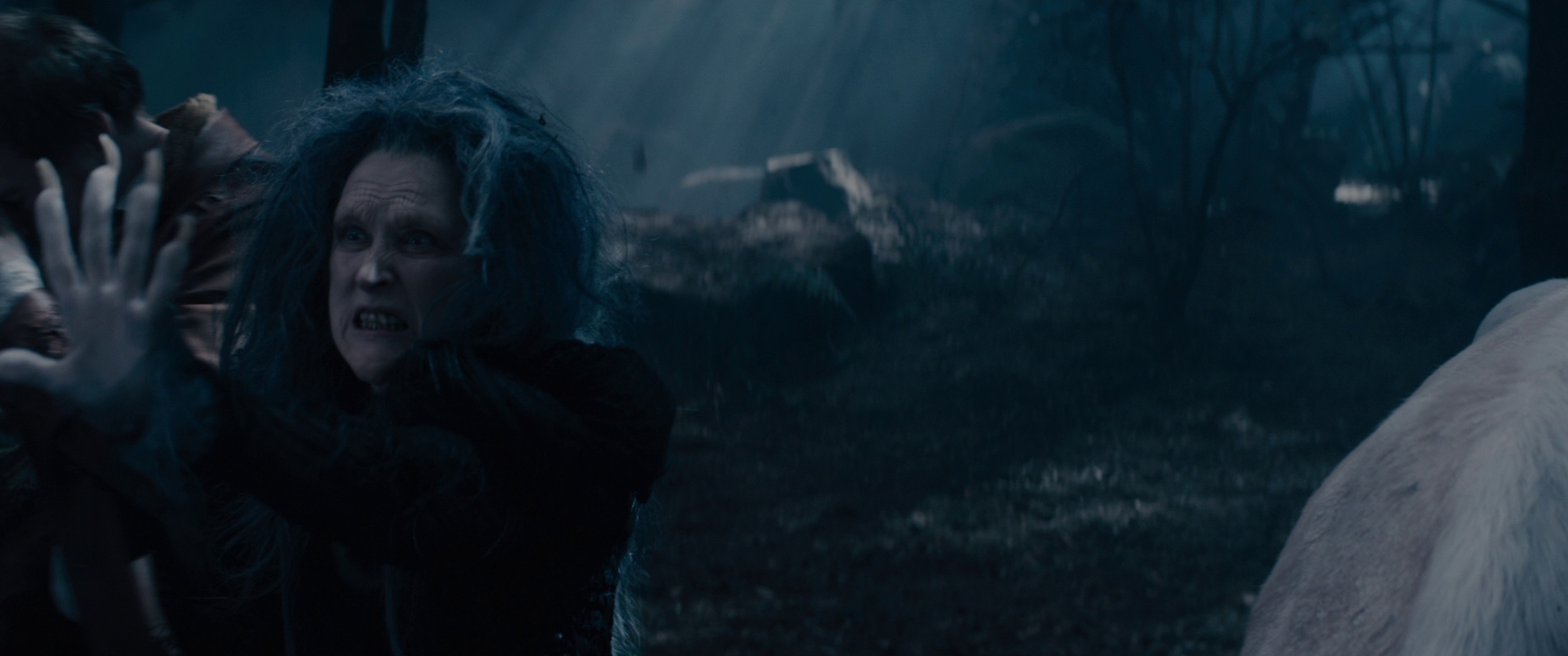 cap471.jpg